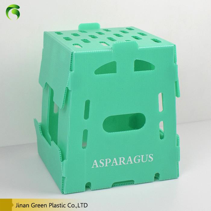 Corflute Plastic Box Corflute Plastic Box
